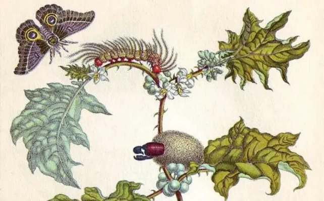 Pensées en mouvement : la danse rencontre la philosophie