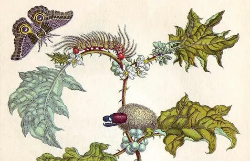 Pensées en mouvement : la danse rencontre la philosophie